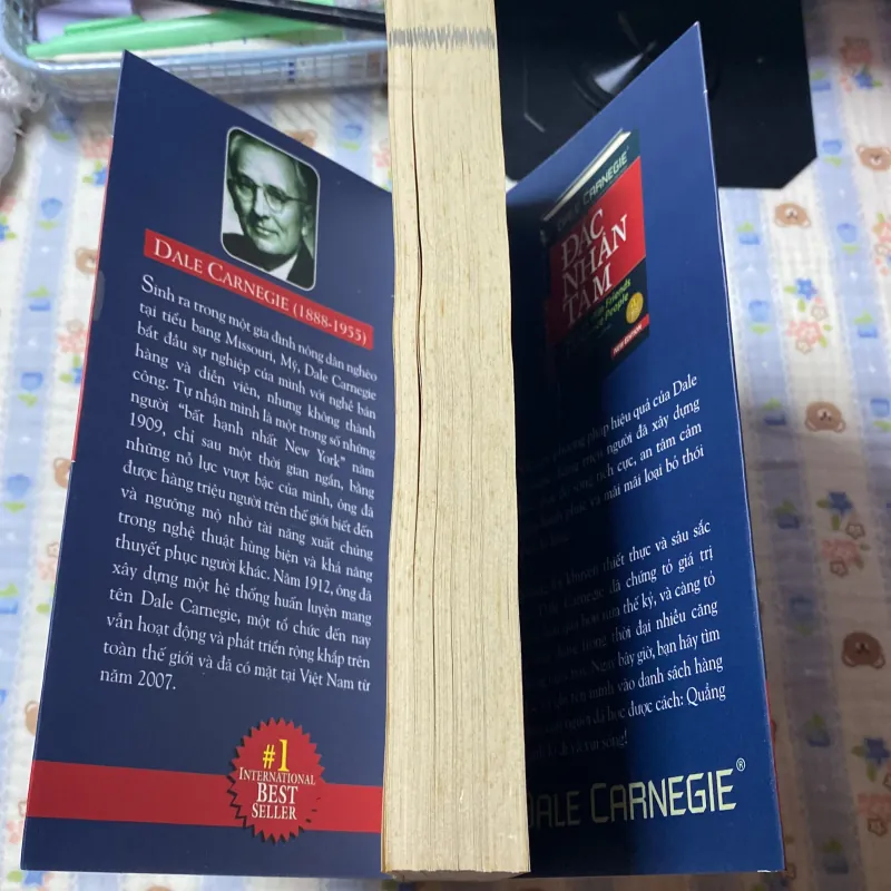 Quẳng Gánh Lo Đi Và Vui Sống 976497