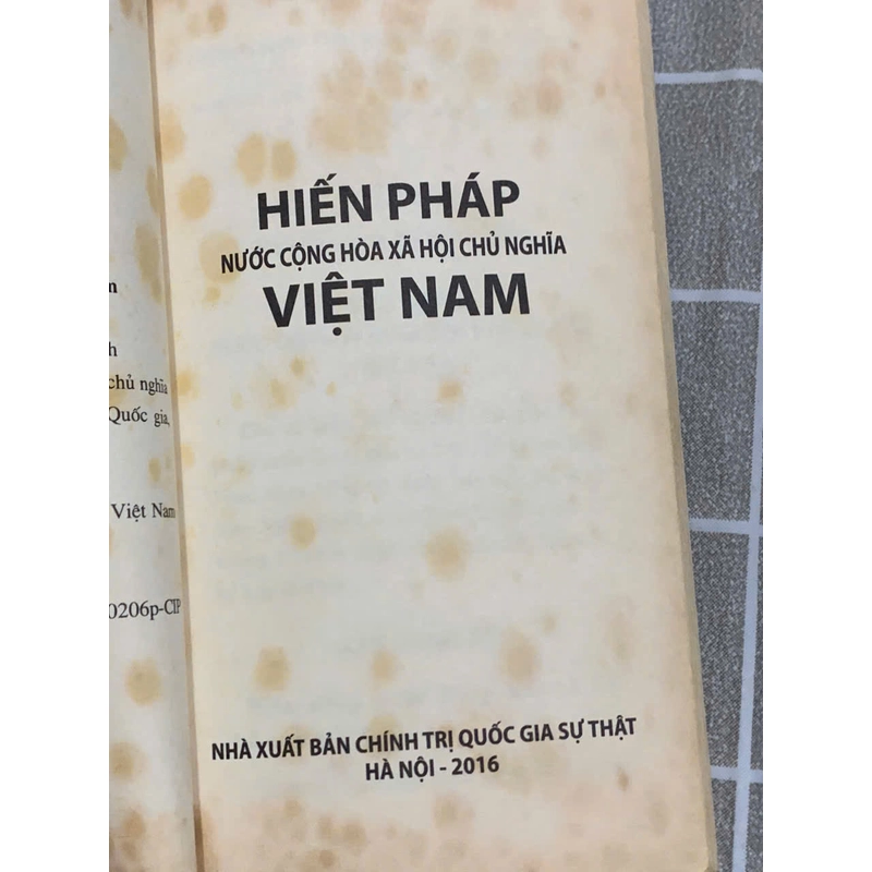 HIẾN PHÁP NƯỚC CHXHCN VIỆT NAM , 2019 545929
