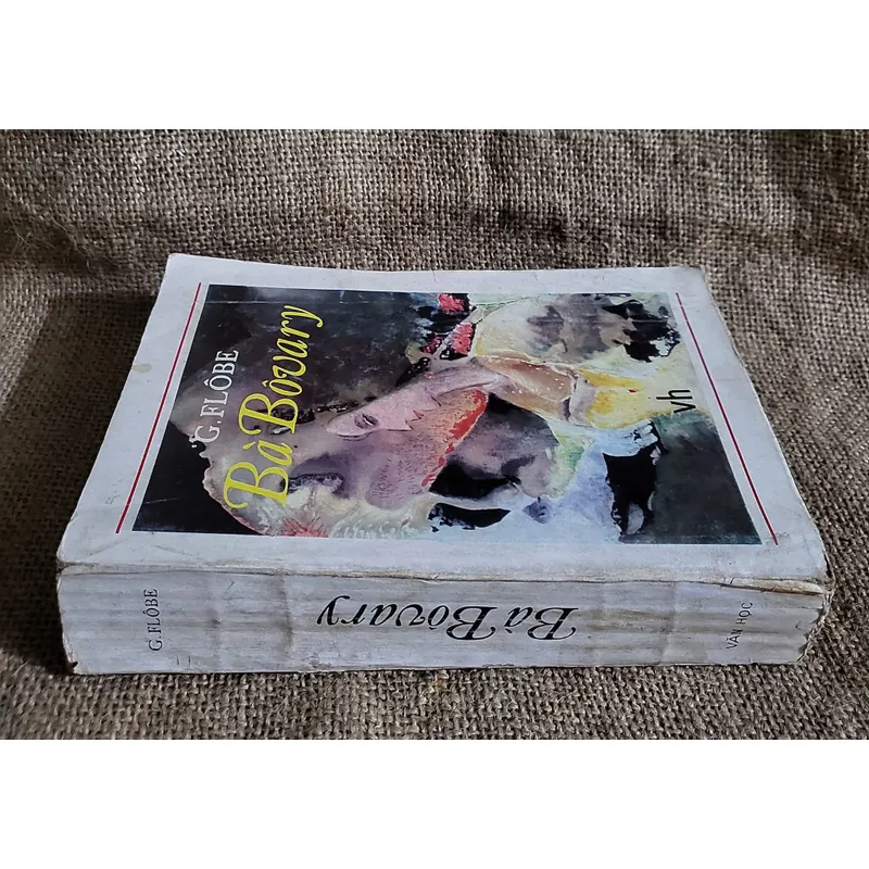 Bà Bovary - Tiểu thuyết của Gustave Flaubert 707904