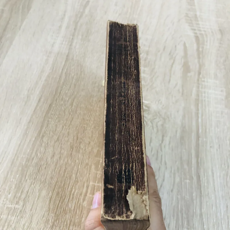 XIXe Siècle – Les Grands Auteurs Français 971756