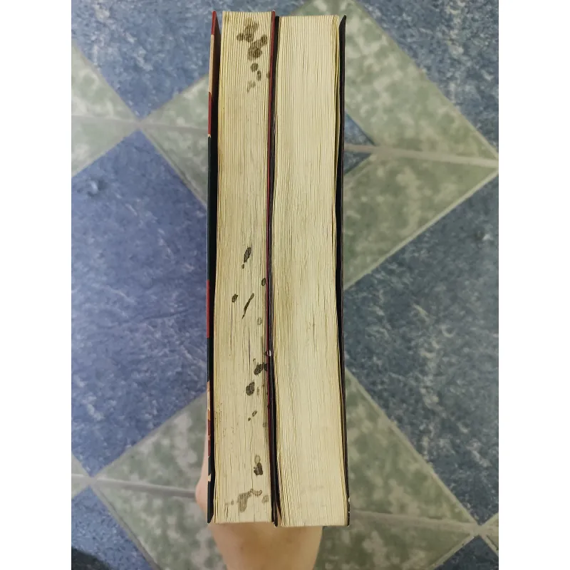 Bí mật của Naoko và Sự cứu rỗi của thánh nữ - Higashino Keigo 712407