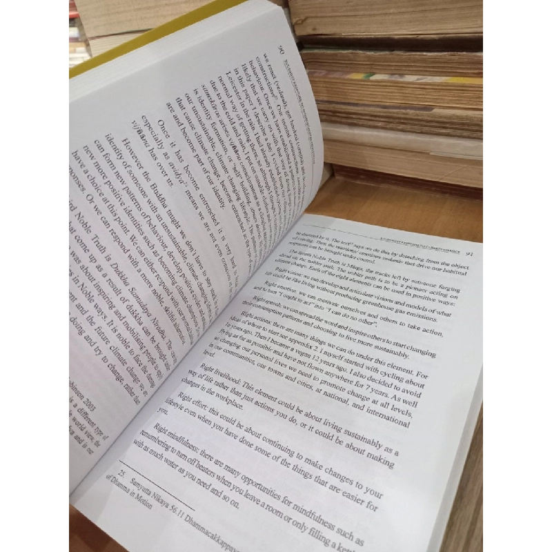 Buddhist Response to Environmental Protection - Vietnam Buddhist University Series 22 1019392