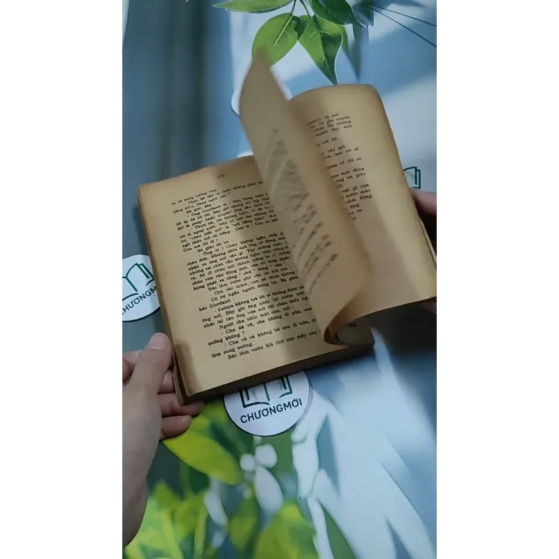 Tâm Hồn Cao Thượng (1989) 713894