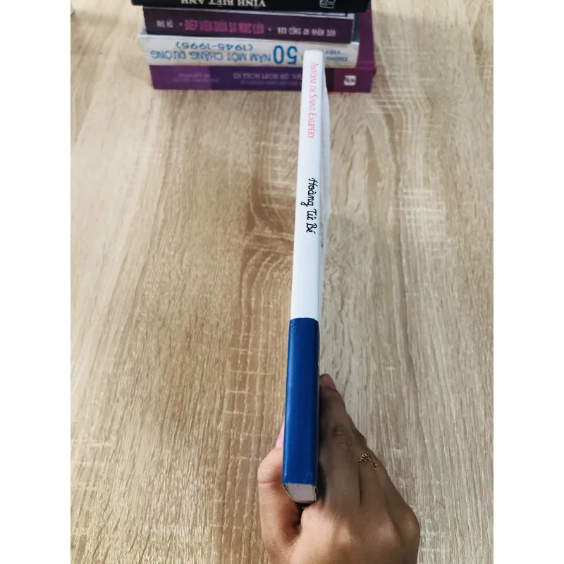 HOÀNG TỬ BÉ  2013 1006322