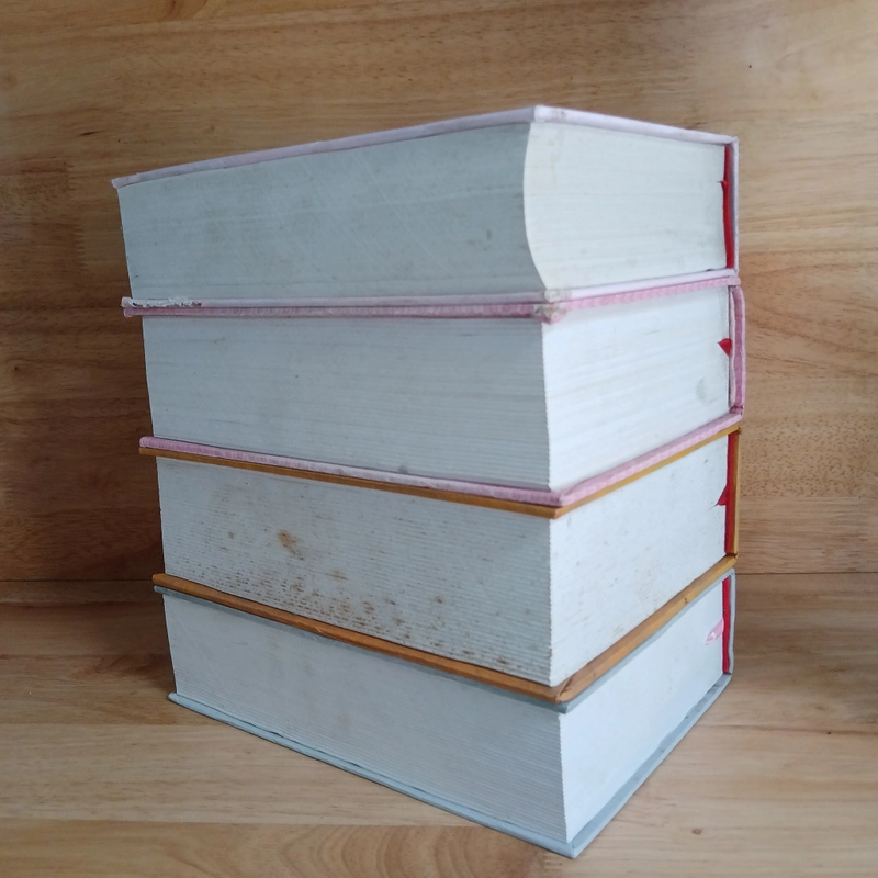 Tác Giả Tác Phẩm - Người Đồng Hành Quanh Tôi (Tập 1, 2, 3, 6) - Ngô Nguyên Nghiễm 420501