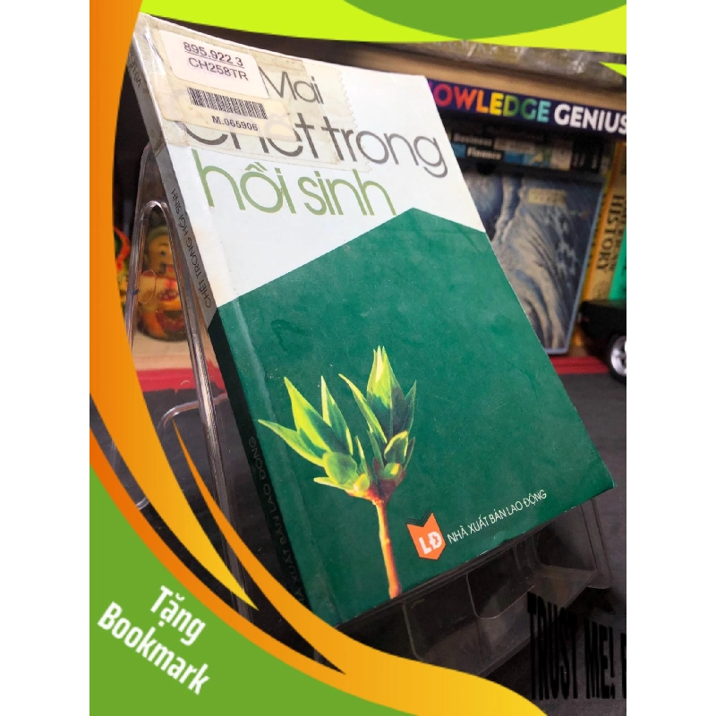 (TẶNG BOOKMARK) Chết trong hồi sinh 2003 mới 70% bẩn nhẹ Vũ Lê Mai RBK0906 SÁCH VĂN HỌC 941019