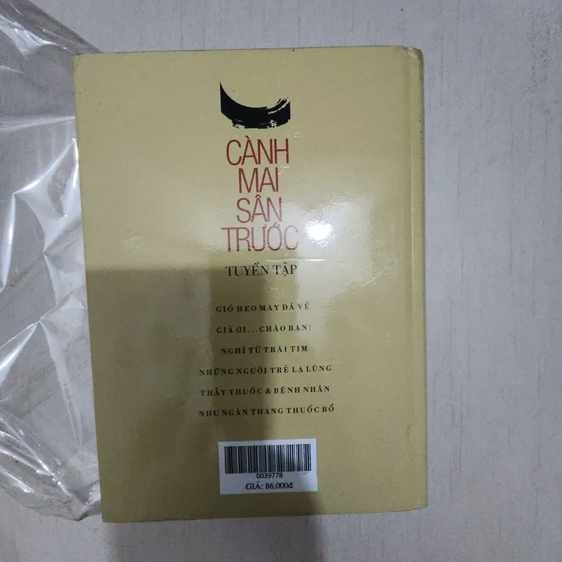 Sách Cành mai sân trước 715553