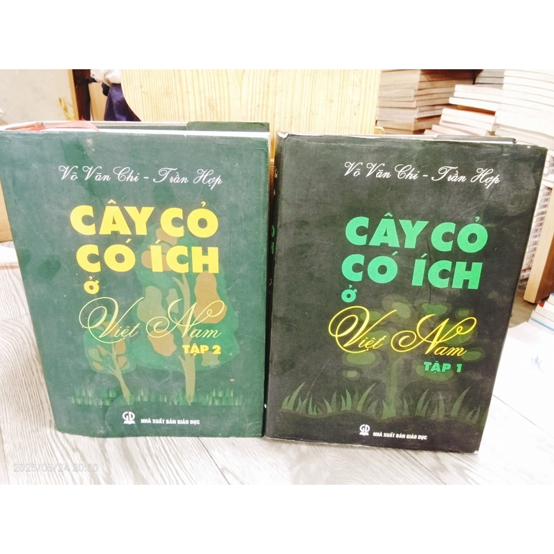 Cây Cỏ Có Ích Ở Việt Nam- Võ Văn Chi, Trần Hợp 459942