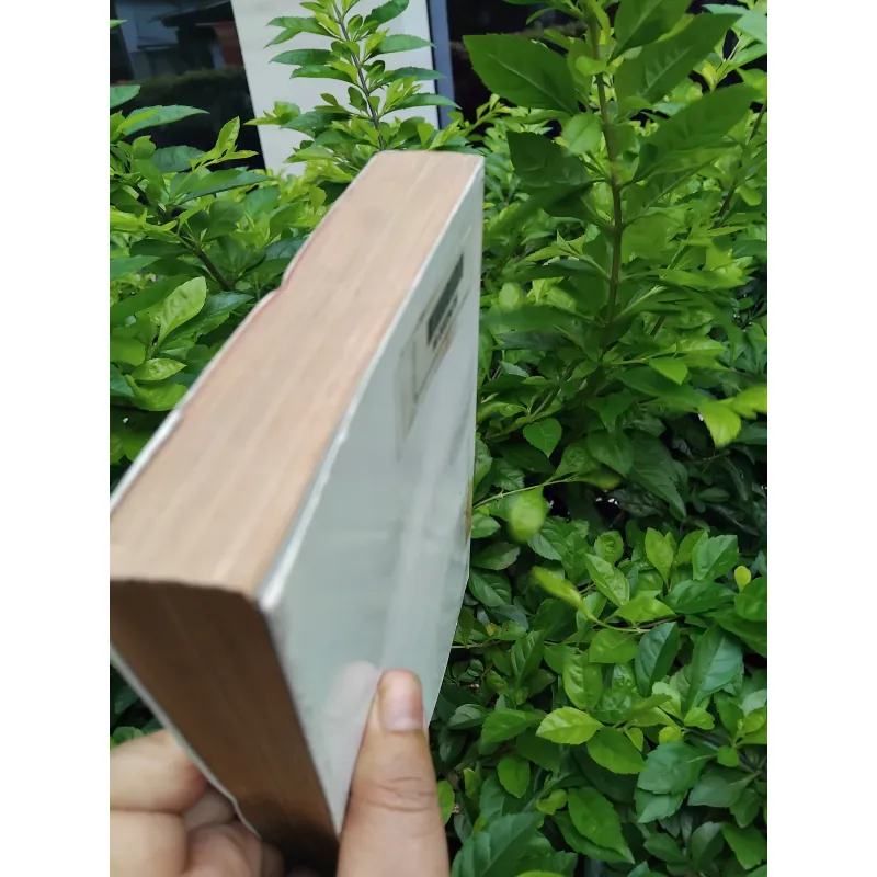 Văn hóa nghệ thuật Nam Bộ  995544