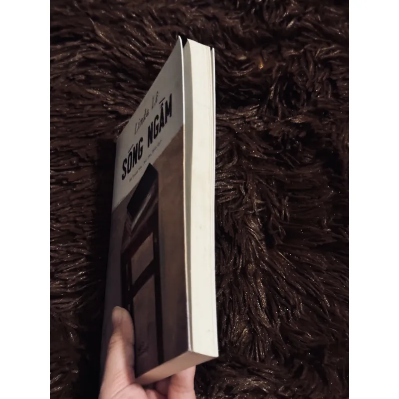 Sóng ngầm - Linda Lê 756775