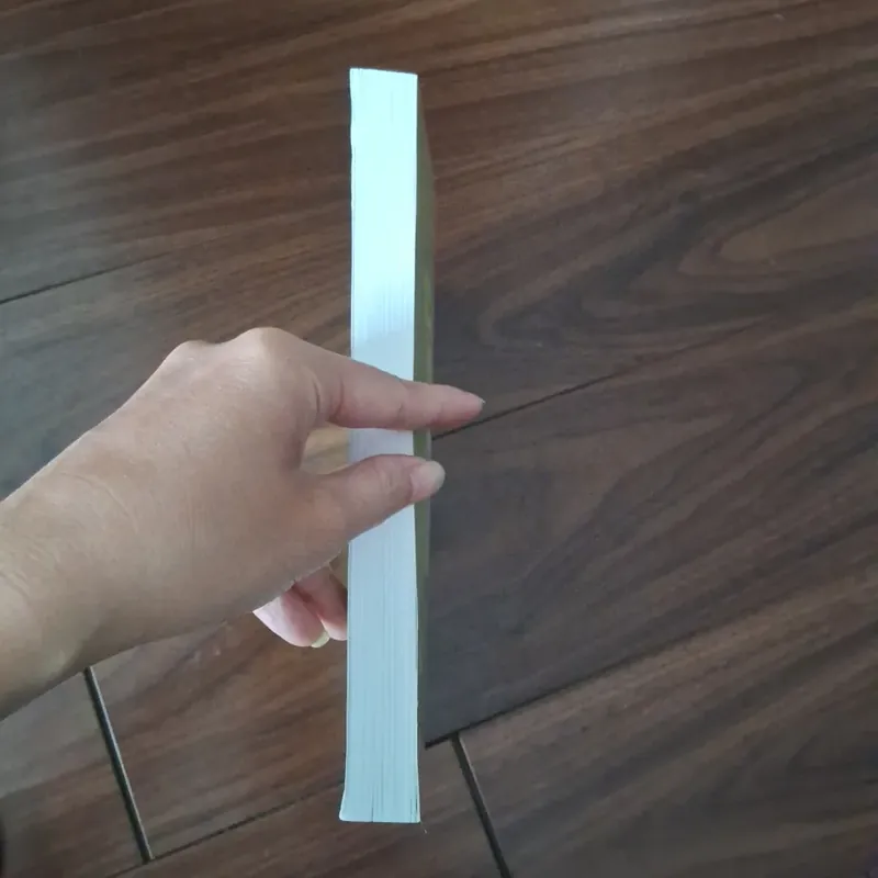 Lí luận phê bình văn học việt nam đầu thế kỉ XX 734258