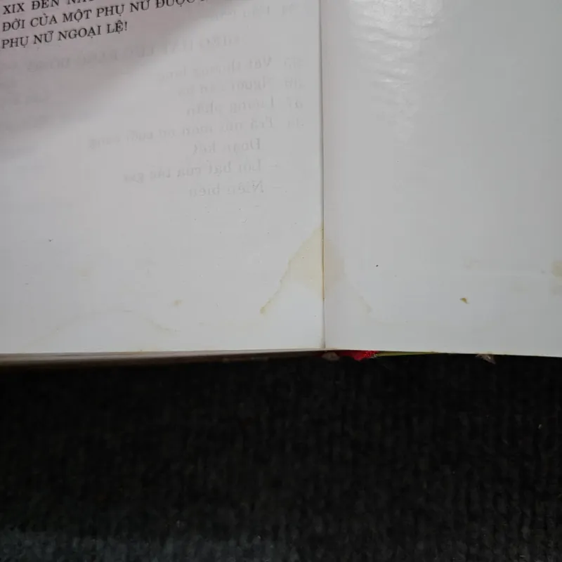 Xuân nguyệt - Bette Bao Lord 734636