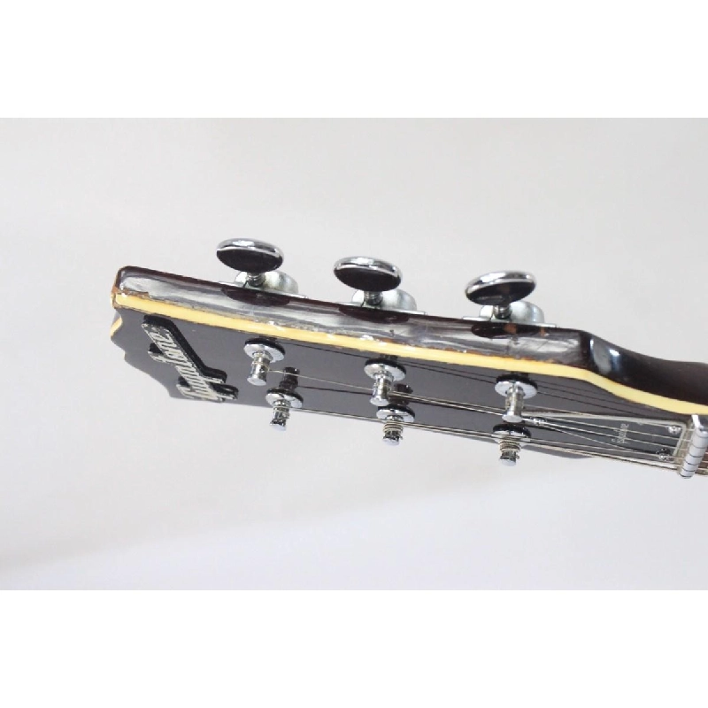 ＧＵＹＡＴＯＮＥ ＳＧ－２５Ｔ - Hàng hiệu Authentic 879175