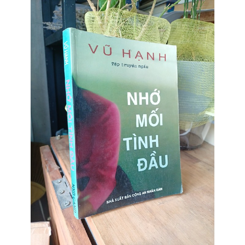 Nhớ mối tình đầu - Vũ Hạnh 165992