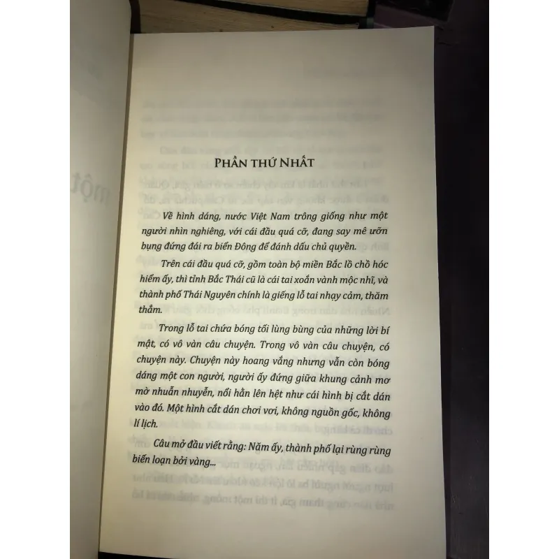 Một ví dụ xoàng - Nguyễn Bình Phương 1019131