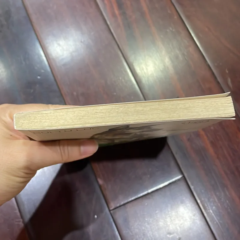 Văn học tuổi hoa - CHÓ HOANG - BÙI TỰ LỰC nxb KD 2017  1026002