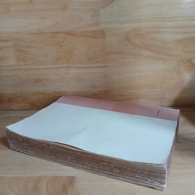 Từ Điển Văn Học N - Y (Tập 2) 594658
