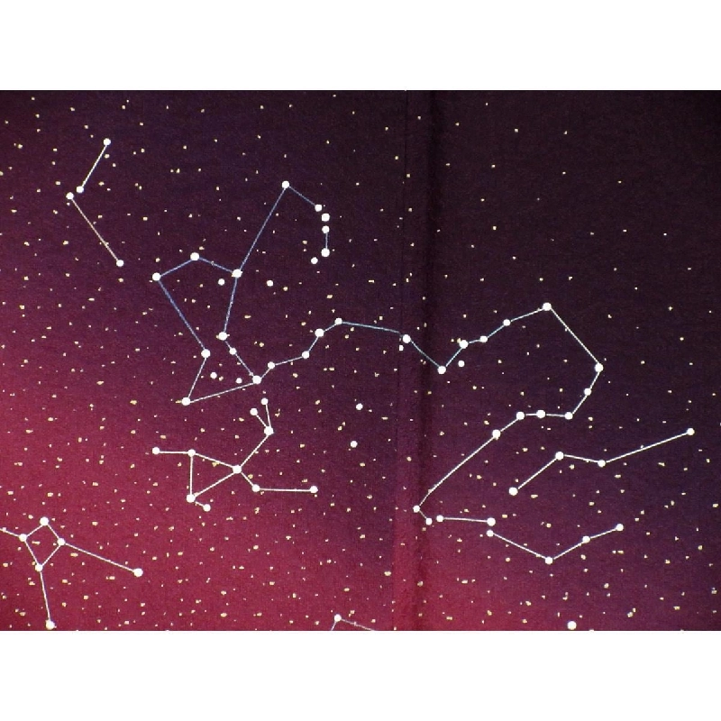 訪問着 - Hàng hiệu Authentic 877390