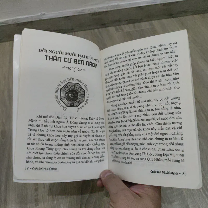 Cuộc Đời & Số Mệnh - Nguyễn Phúc Vĩnh Tung 754552