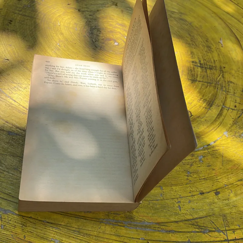 ADAM BEDE - GEORGE ELIOT 763421