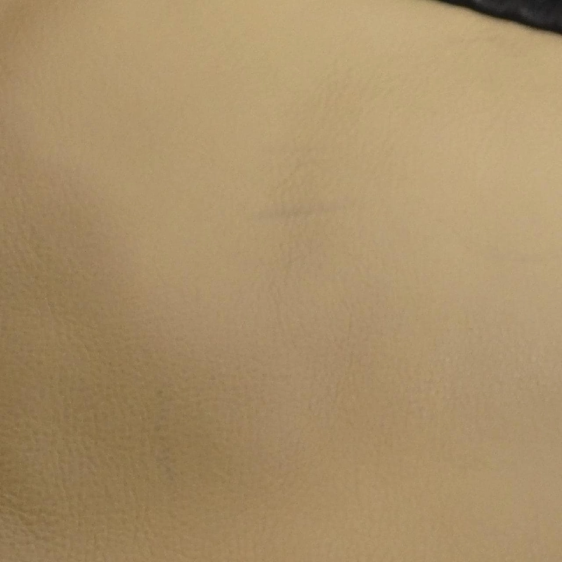 Túi xách vai Louis Vuitton Monogram Elvinil Squeech M95259 611392