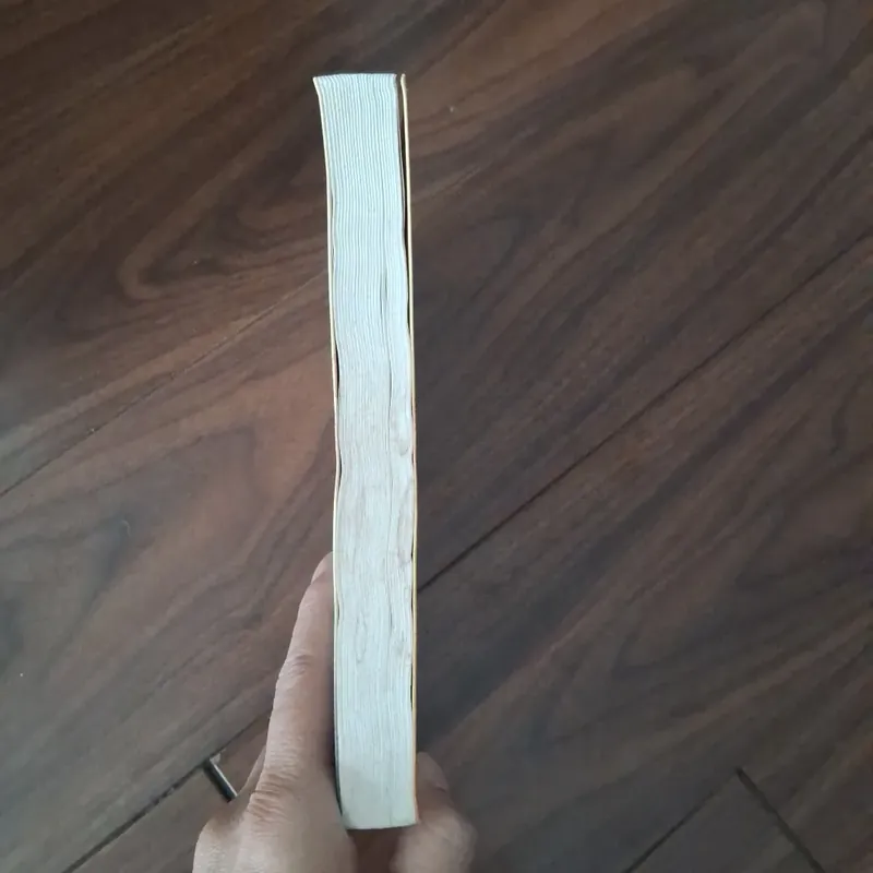 Central park - gullaume musso 734268