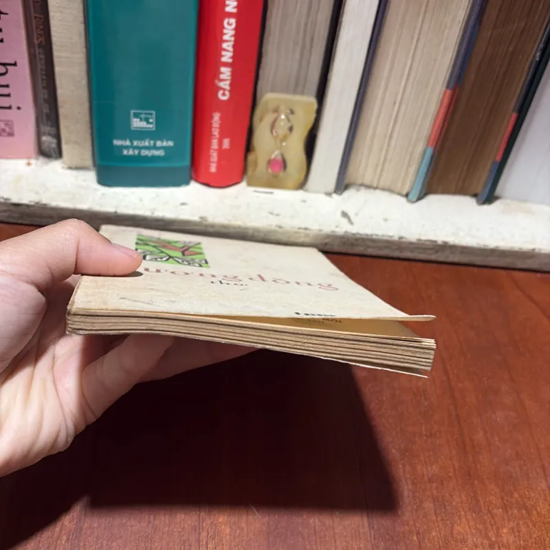 II Thơ: Hương Đồng - Ngô Hoàng Anh, Mai Anh, Mai Thanh Chương, Đồng Bằng - 1981 796471