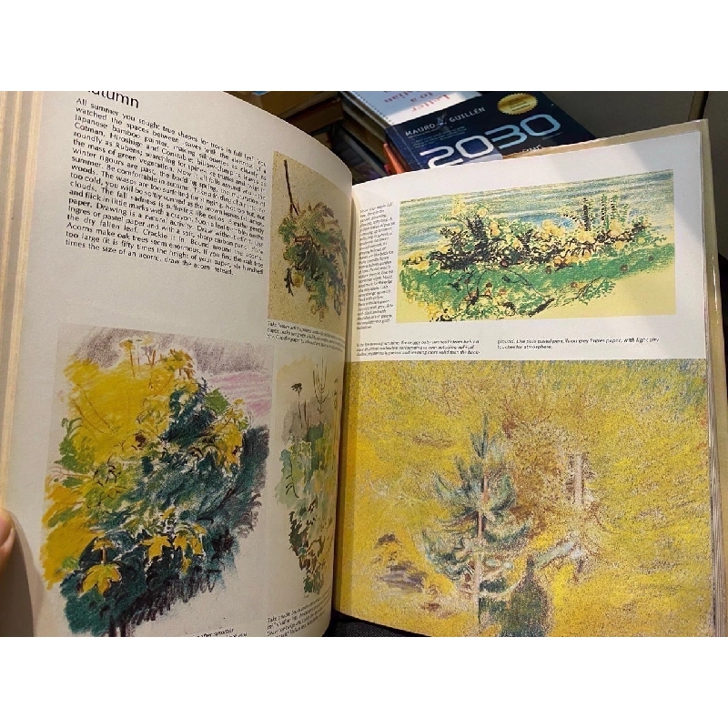 The Drawing Book – Jeffery Camp 994396