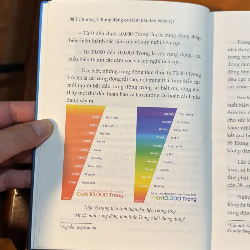 Vượt qua BỆNH TẬT và SINH TỬ bằng TRÍ TUỆ - TRONG SUỐT 720587