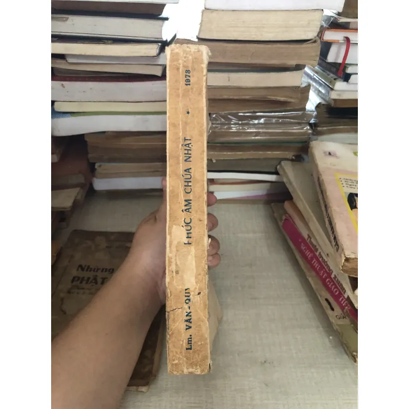 Phúc âm Chúa Nhật 995100