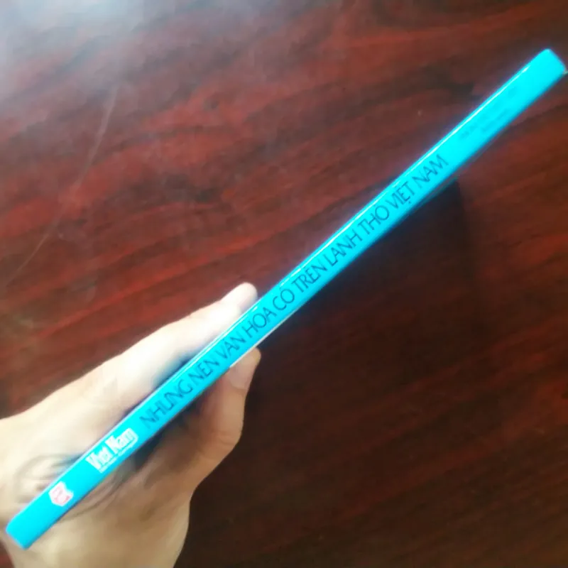 [Sách Văn Hóa] Những Nền Văn Hóa Cổ Trên Lãnh Thổ Việt Nam (Tri Thức Việt) 994632