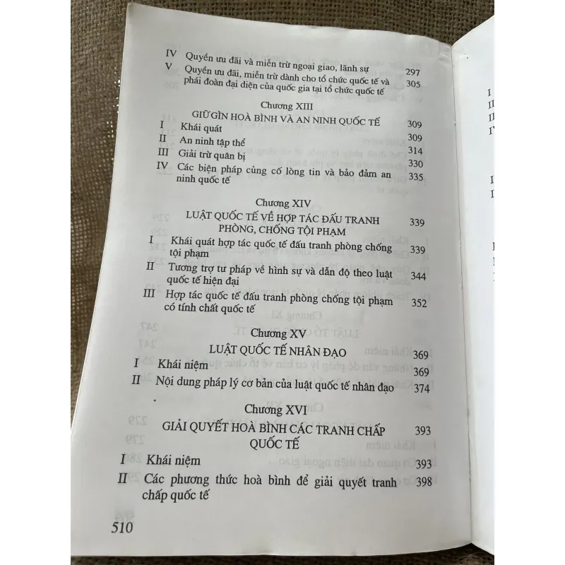 GIÁO TRÌNH LUẬT QUỐC TẾ- 500 trang 993502