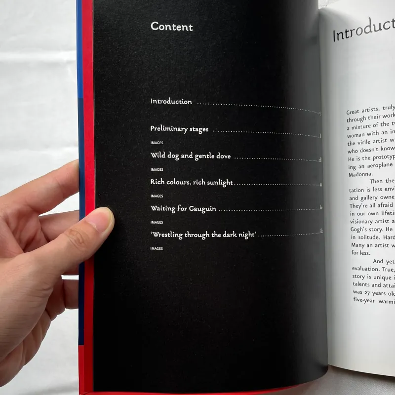 The Essential Van Gogh - Hans den Hartog Jager 1028889