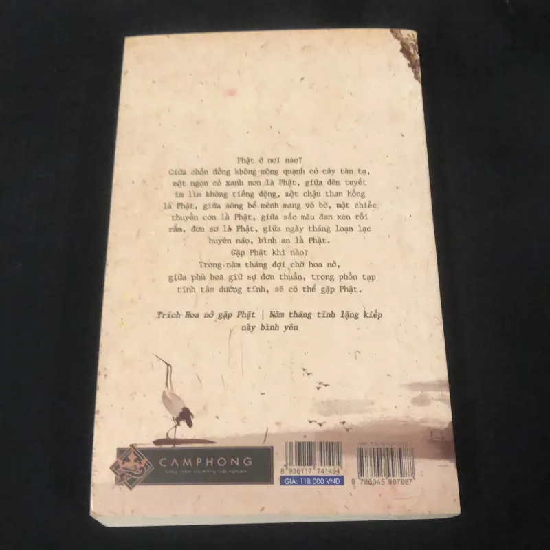 Năm tháng tĩnh lặng kiếp này bình yên 936926