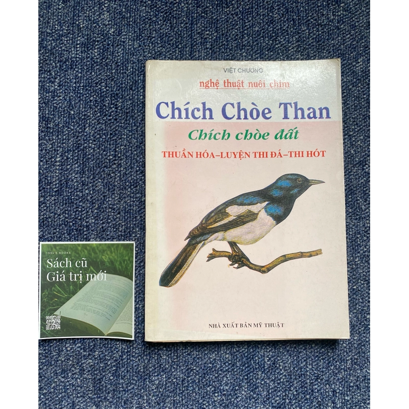 Nghệ thuật nuôi chim chích choè than - chích choè đất 442668