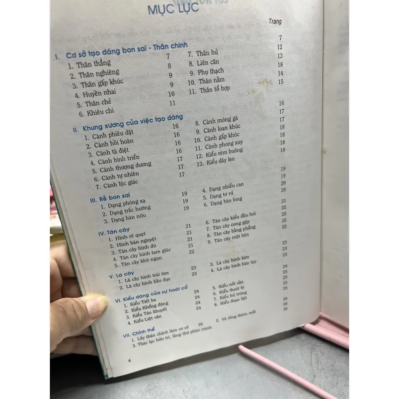 Tạo dáng bon sai liên trí hưng 927771