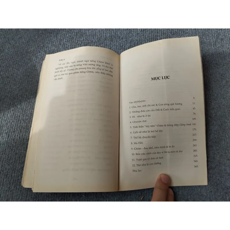 HÀNG MÃ KÝ ỨC - INRASARA 694778