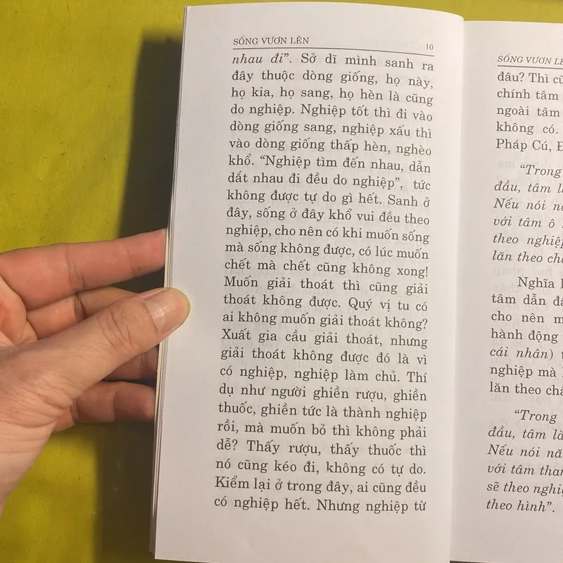 Sống Vươn Lên - Thích Thông Phương - Thiền Viện Trúc Lâm 680982