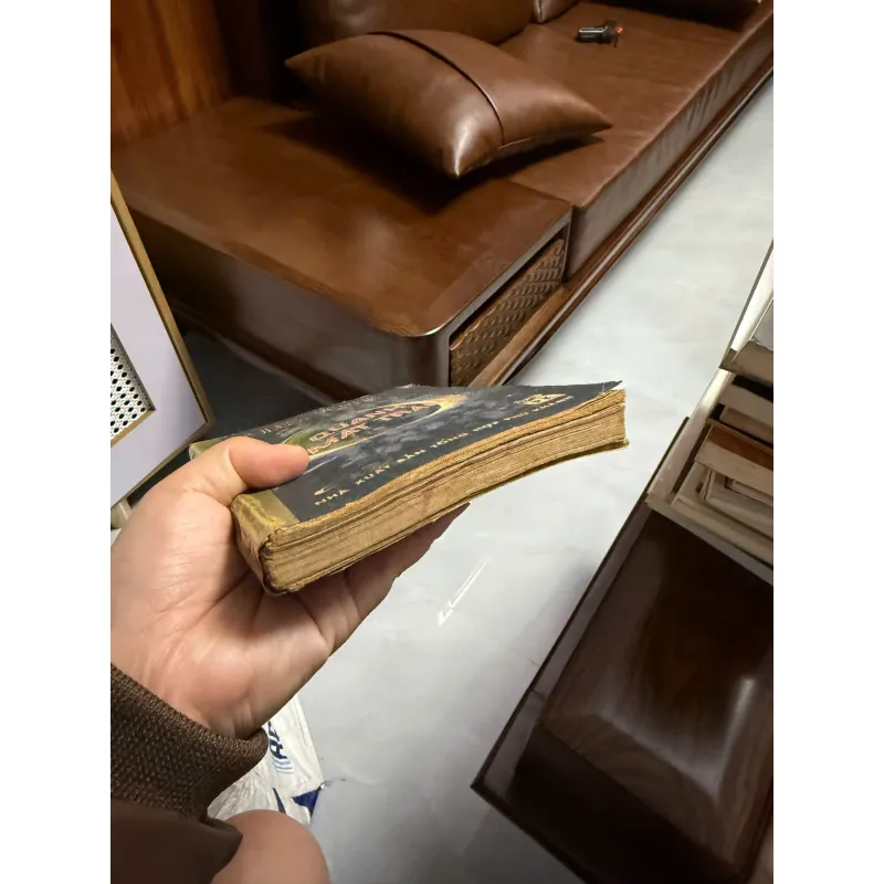 “Bay Quanh Mặt Trăng” (Jules Verne) 975554