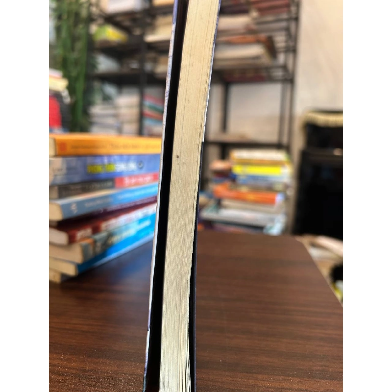 Hoa Sen Trên Tuyết - Nguyễn Phong - Nguyễn Phong 958522