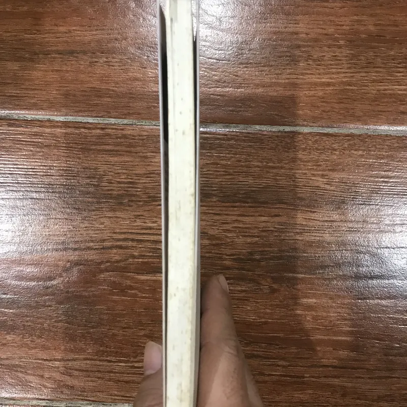 Tiểu luận Giao cảm Bề trái và bề mặt - Albert Camus (6) 570574