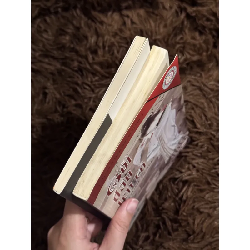 Combo Natsume Soseki 1029782