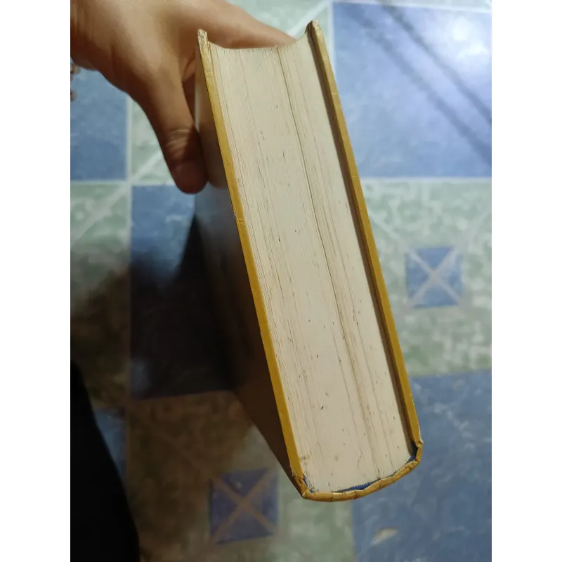 Việt Nam Phật giáo sử luận - Nguyễn Lang 974915