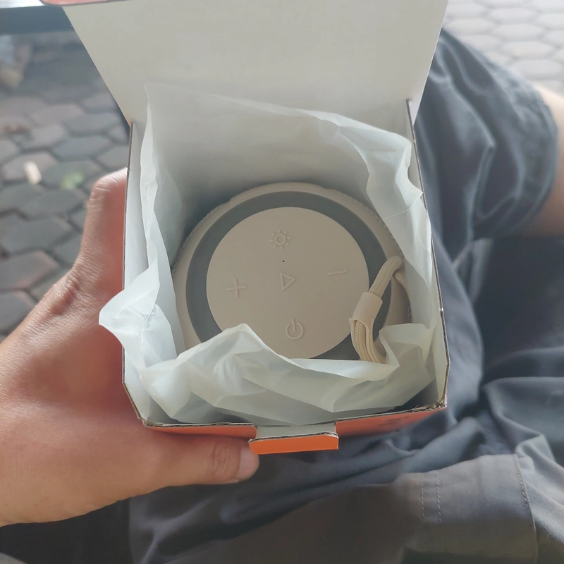 Loa không dây JBL 461371