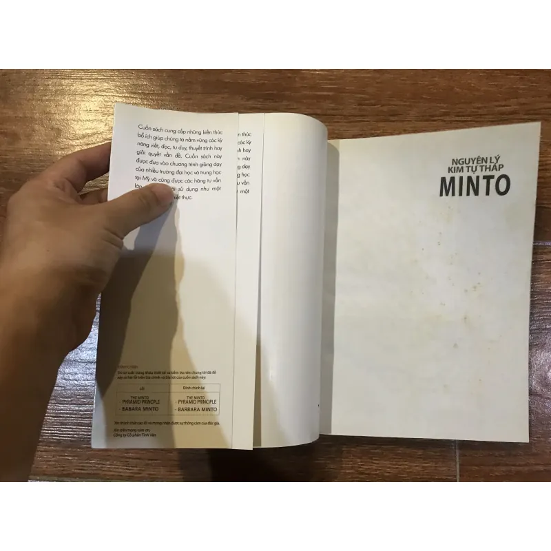 Nguyên lý Kim tự tháp Minto (8) 315804