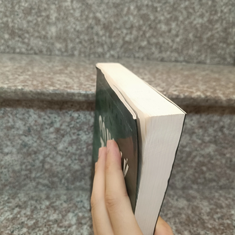 Công lý thảo nguyên - IAN MANOOK 442769