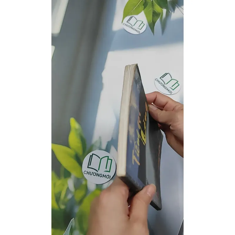 Tiếng Gọi Lòng - Truyện Công Giáo 776144