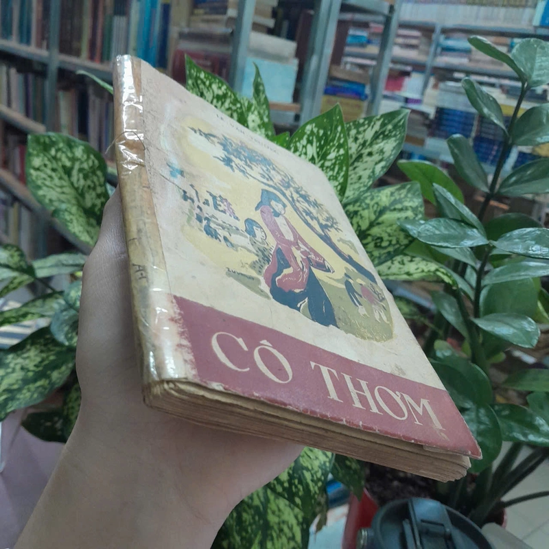 CÔ THƠM - LÊ VĂN TRƯƠNG 546499