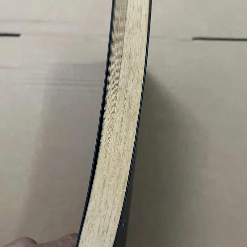 Biên niên cô đơn 1002531