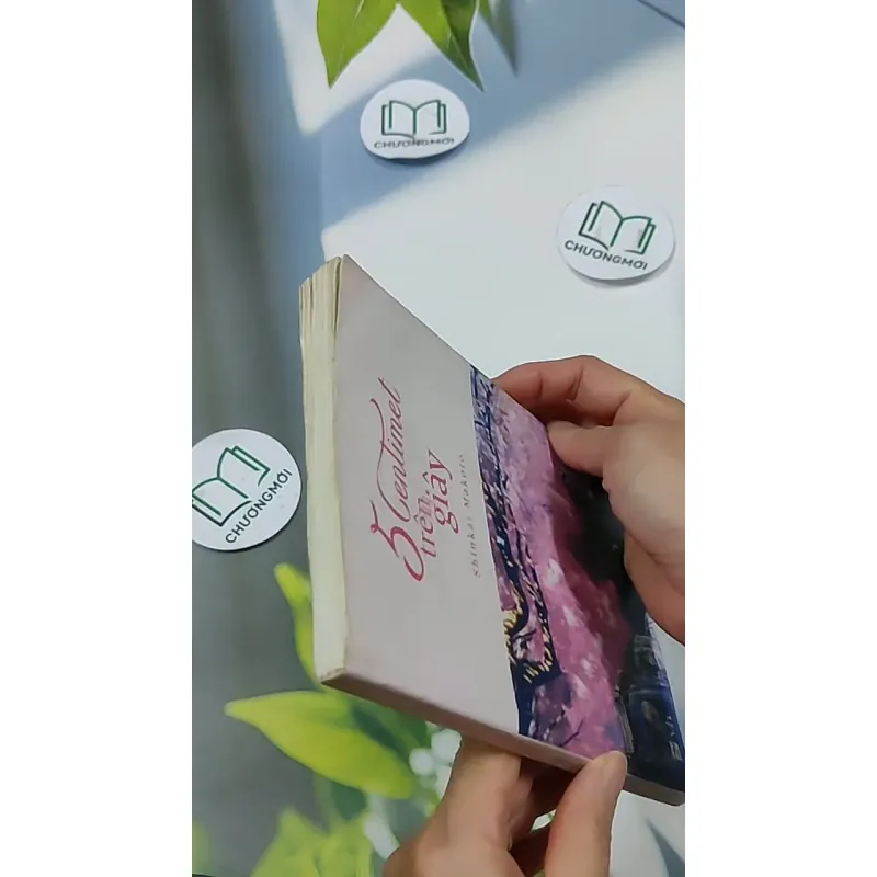 5 Centimet Trên Giây 703127